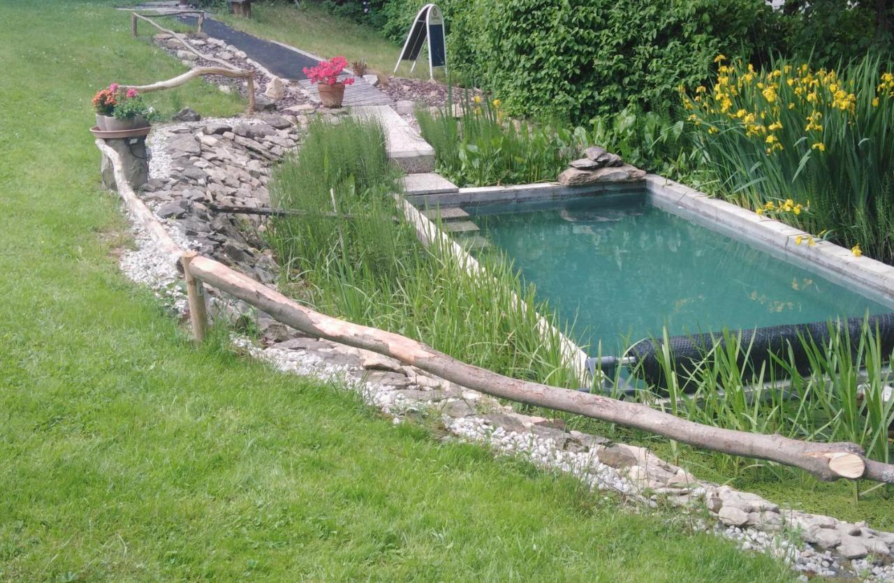 Penzion U Dvojice Nove Mesto na Morave Eksteriør bilde
